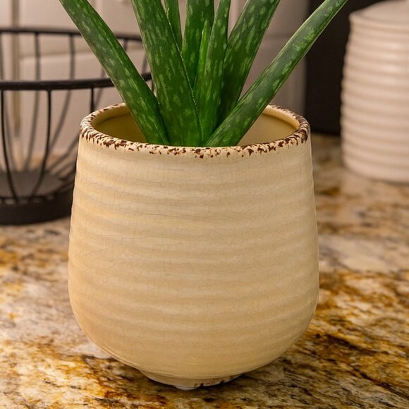 NWT Distressed Crackle Flower Pot Rustic Style Planter - Picture 2 of 7